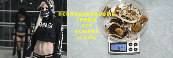 мескалин Алзамай